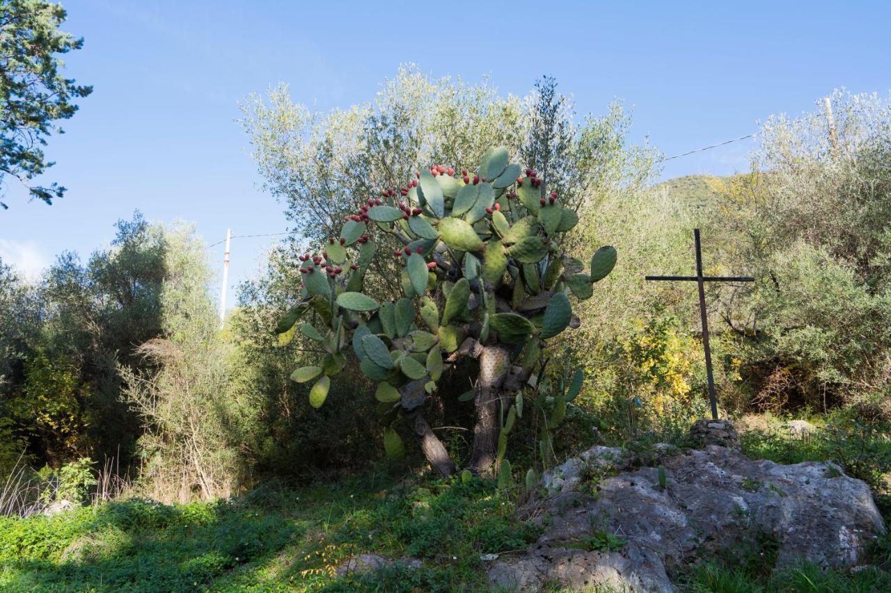 Hotel Convento Di Stignano Rignano Garganico Exteriér fotografie